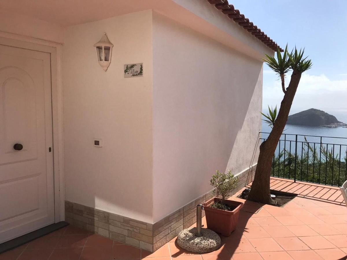 Barano dʼIschia L' Ulivo Villa Nunzia מראה חיצוני תמונה